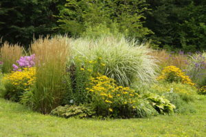 Floßfahrt auf der Randow & Botanischer Garten Christiansberg 14