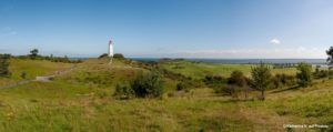 Insel Hiddensee mit Kutschfahrt 5