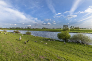 Rundfahrt Prignitz & Storchendorf Rühstädt 4