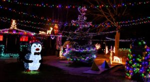 Weihnachtsmarkt auf Gut Pronstorf 13