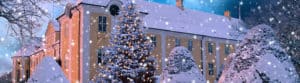 Weihnachtsmarkt auf Schloss Gavnø 15