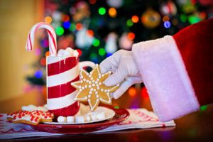 Gestütsweihnacht auf Landgestüt Traventhal 14